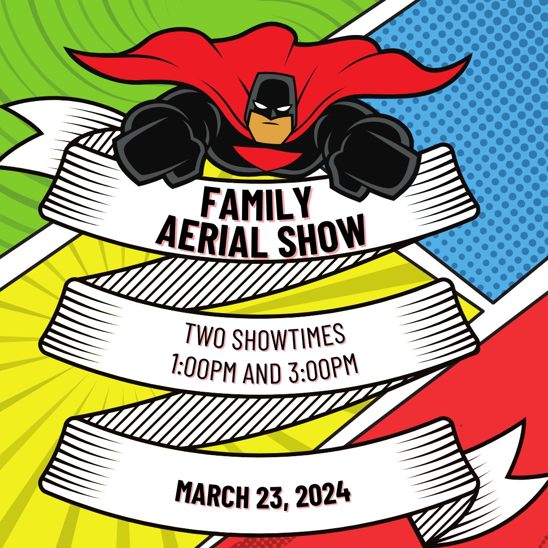 Superhero Family Aerial Show